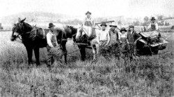 Free Soil Farm