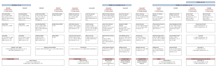 White, Sweeney, Pruitt Family Trees